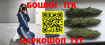 стаф Нальчик