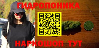шишки Нарткала