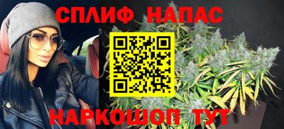 шишки Нарткала